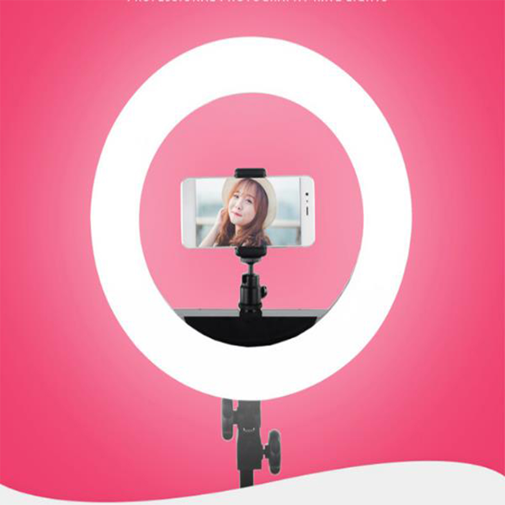 10'' QS-280II 95RA Bicolor LED - Learn Photography Lighting ulasan dan harga